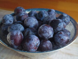 8月9日(金)のメニュー(ピーチメルバあります)。