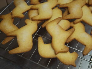 2026年も宜しくお願い致します。