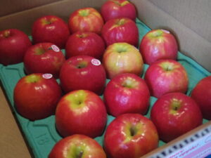 1月30日(金)のカフェメニュー。