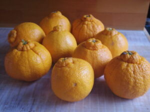 今週も有難うございました。